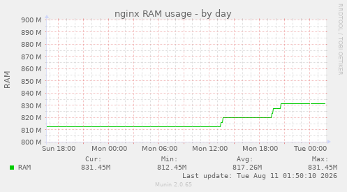 nginx RAM usage